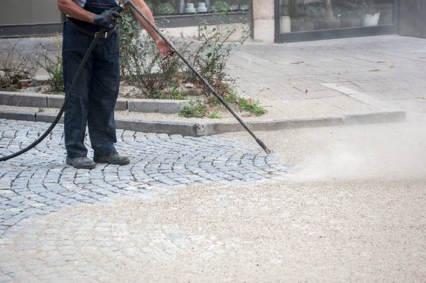 Best Dumpster Area Cleaning  in Mosinee, WI